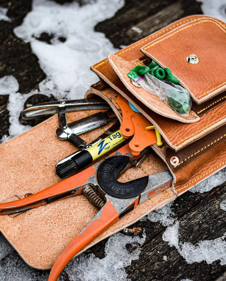 Calf Tagging Tool Pouch